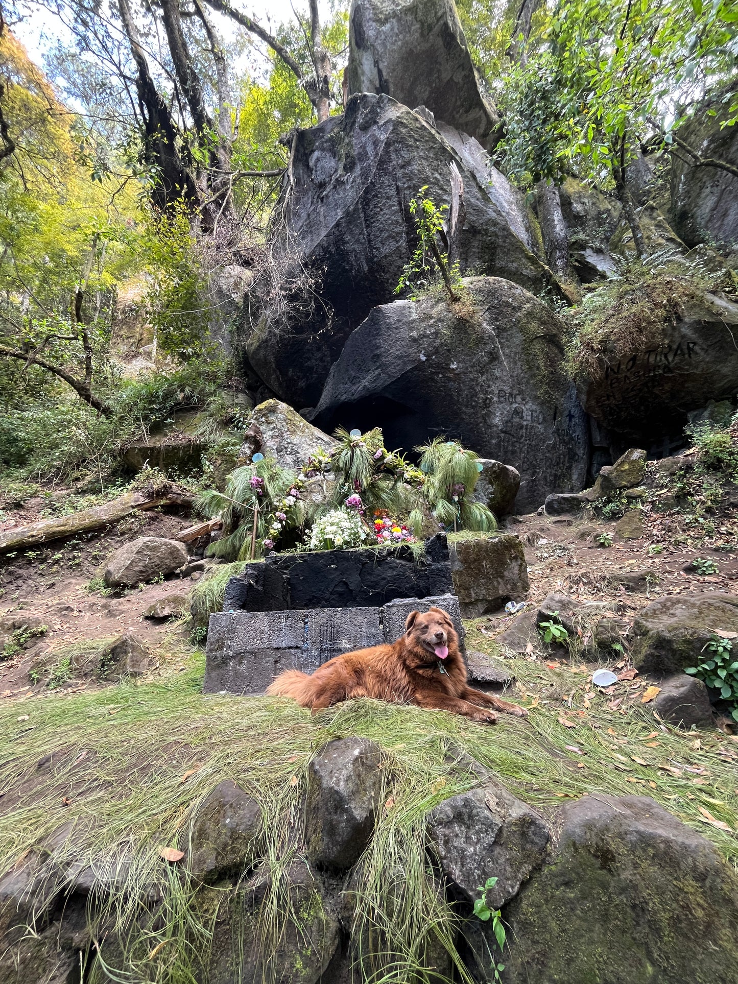 SENDERISMO EN EL VOLCÁN HUITEPEC Y VISITA A TIERRA DE LAS FLORES