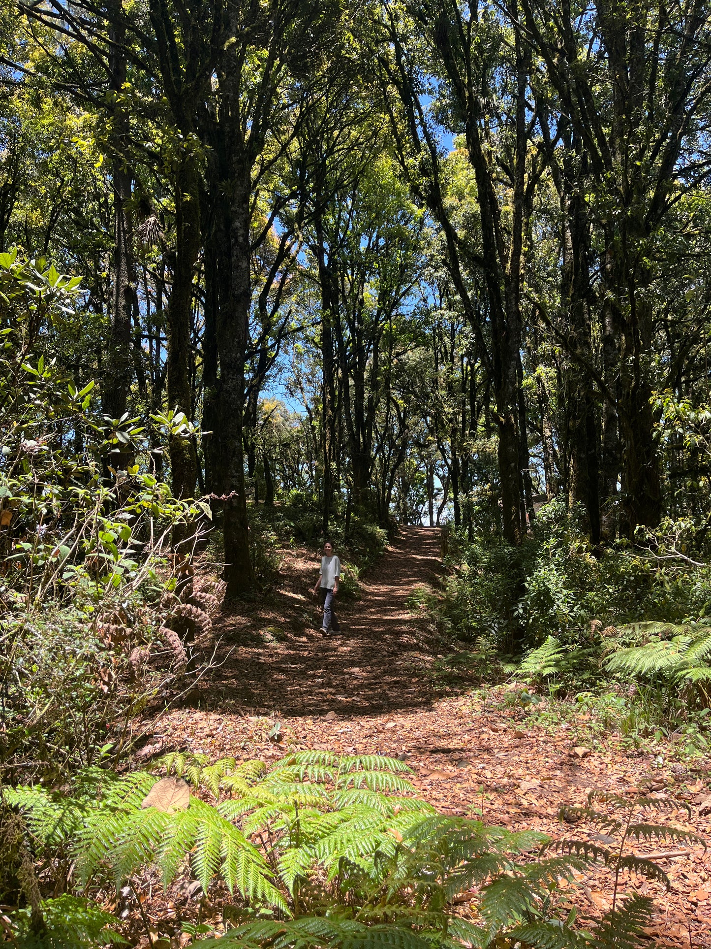 SENDERISMO EN EL VOLCÁN HUITEPEC Y PUEBLO INDÍGENA CHAMULA