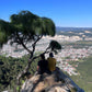 ESCALADA EN ROCA EN SAN CRISTÓBAL