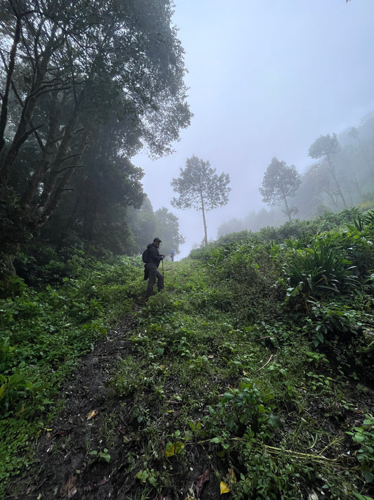 SENDERISMO EN EL VOLCÁN HUITEPEC- LA MONTAÑA SAGRADA