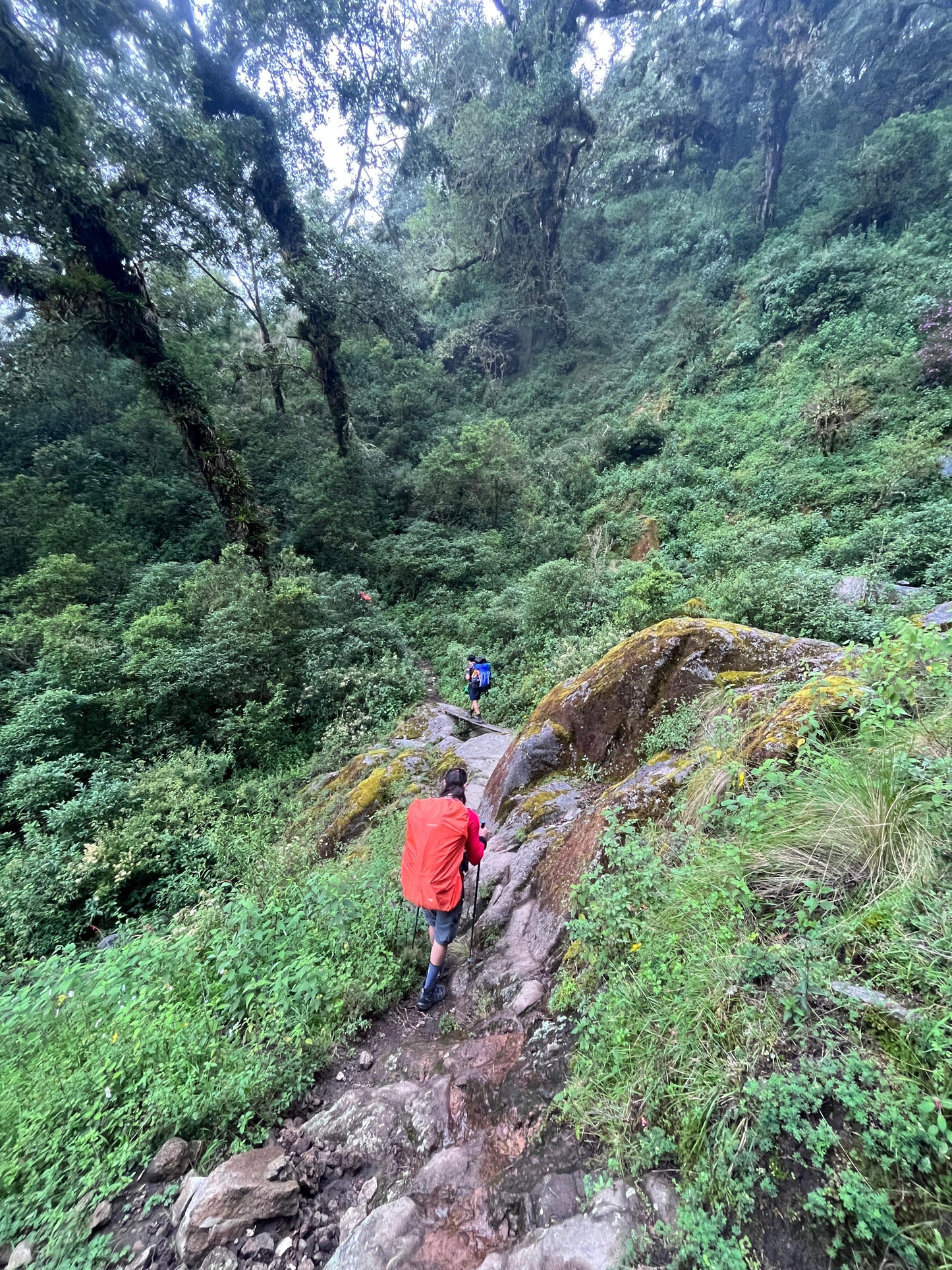 Proyecto Volcán Tacaná 3 al 4 de Mayo 2025