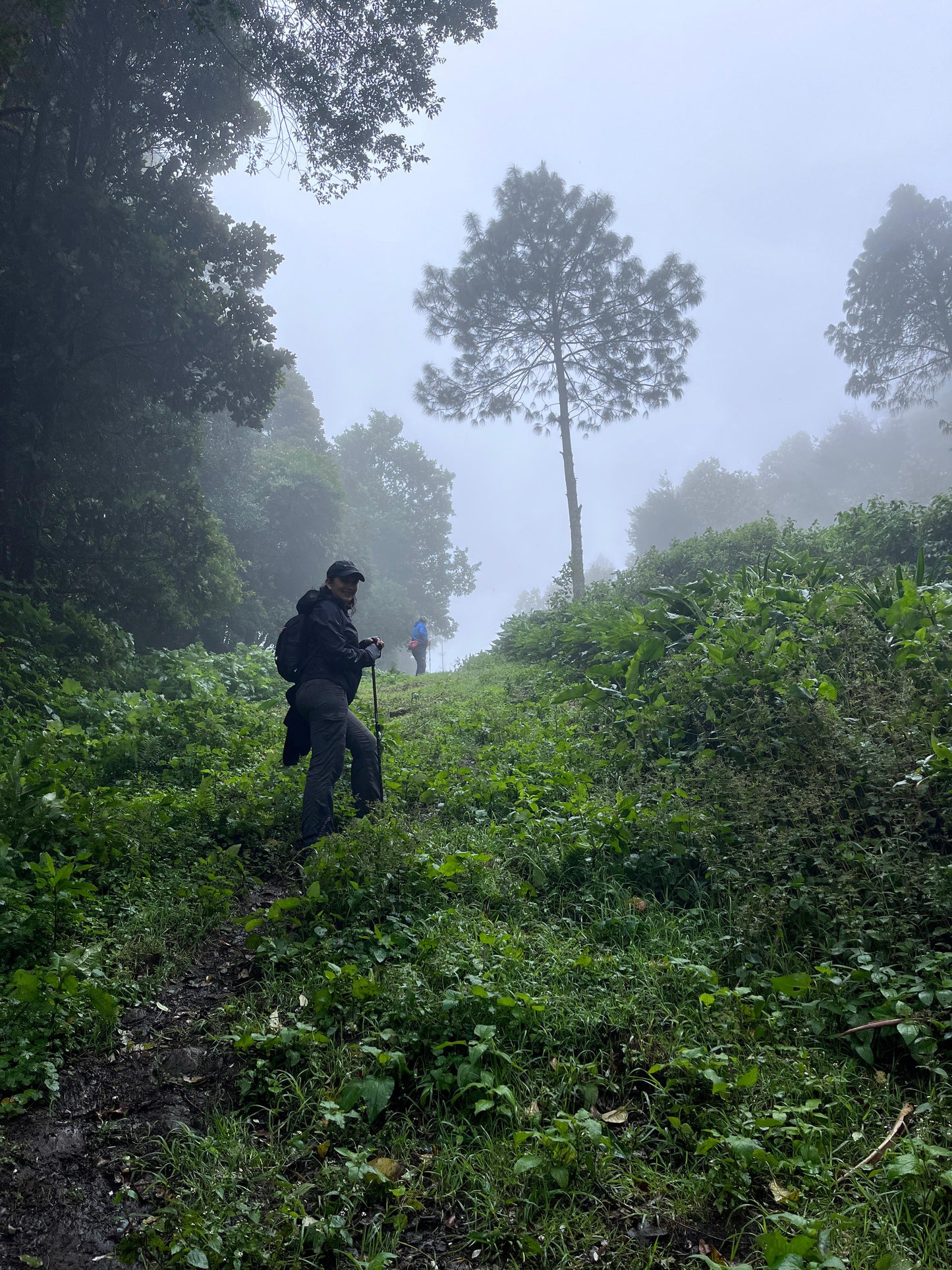 SENDERISMO EN EL VOLCÁN HUITEPEC Y VISITA A TIERRA DE LAS FLORES